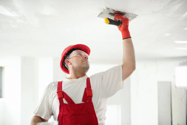 Best Exterior Painting  in Madisonville, LA